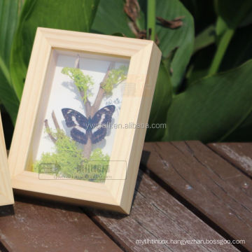wholesale custom High quality 8*8" black 3D deep Butterfly Taxidermy Wooden shadow box photo Frame